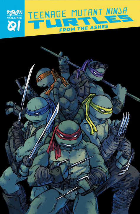 Kniha Teenage Mutant Ninja Turtles: Reborn, Vol. 1 - From The Ashes Sophie Campbell