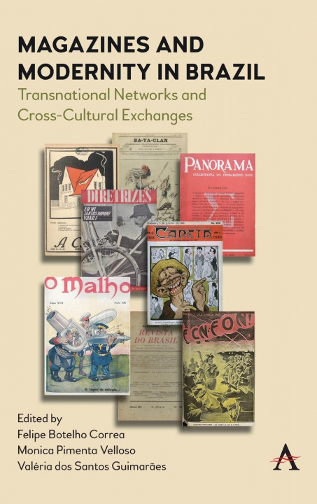 Könyv Magazines and Modernity in Brazil 