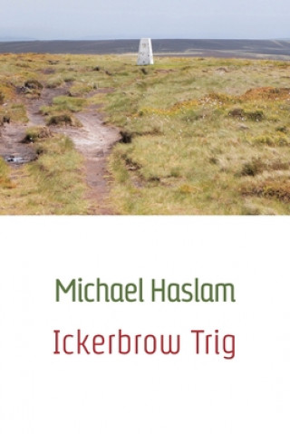 Книга Ickerbrow Trig Michael Haslam