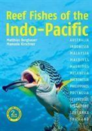 Könyv Reef Fishes of the Indo-Pacific (2nd edition) Dr Matthias Bergbauer