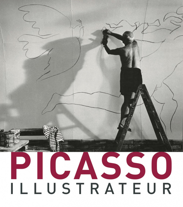 Książka Picasso Snoek Publishers with Exhibitions International