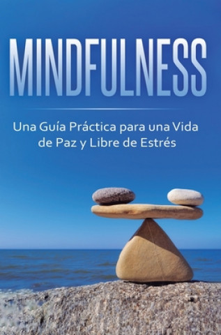 Kniha Mindfulness 