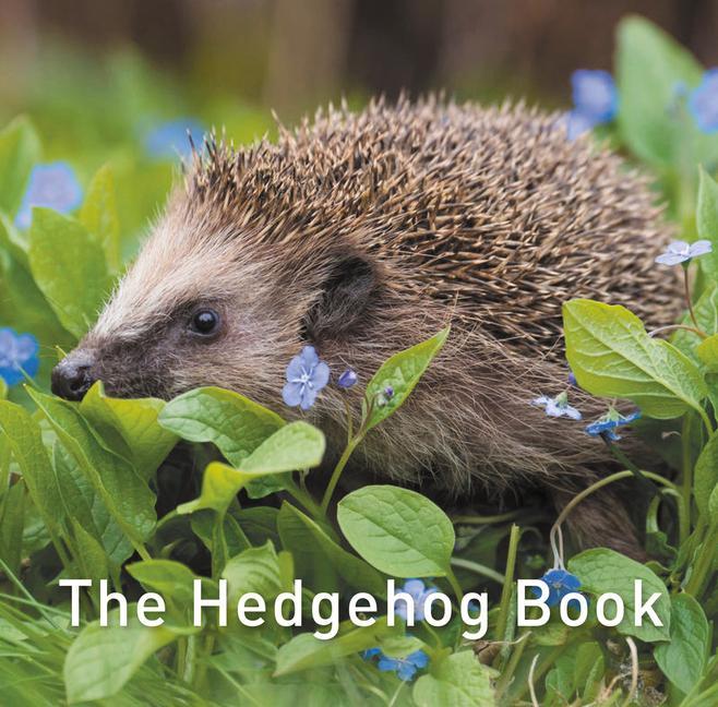 Kniha Hedgehog Book Hugh Warwick