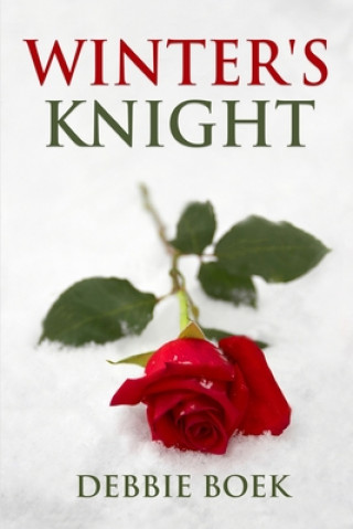 Book Winter's Knight Debbie Boek