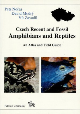 Kniha Czech Recent and Fossil Amphibians and Reptiles Petr Necas