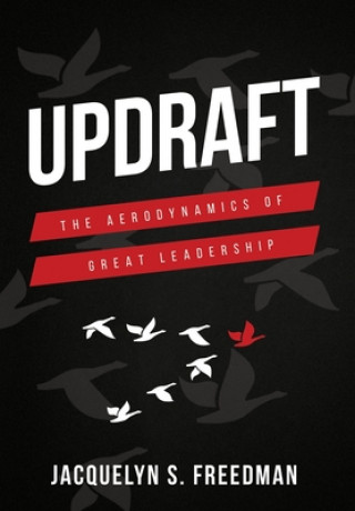 Knjiga Updraft Jacquelyn Freedman