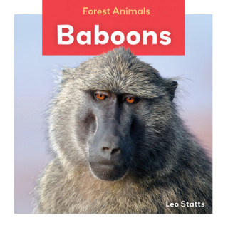 Book Baboons Leo Statts