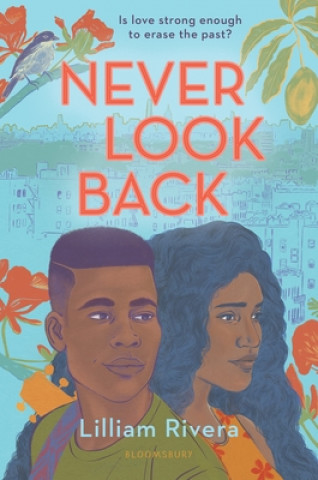 Книга Never Look Back 