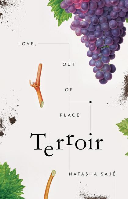 Könyv Terroir 