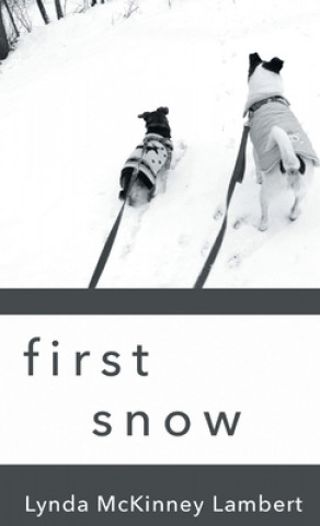Knjiga first snow Lynda McKinney Lambert