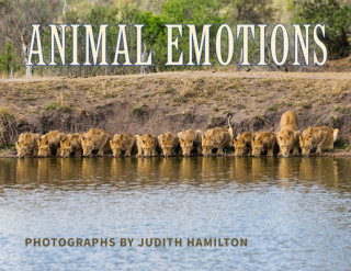 Buch Animal Emotions 