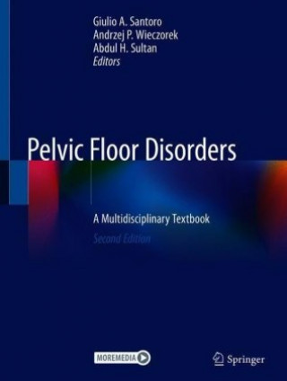 Könyv Pelvic Floor Disorders, 2 Teile Giulio A. Santoro