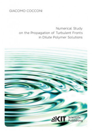 Książka Numerical Study on the Propagation of Turbulent Fronts in Dilute Polymer Solutions 