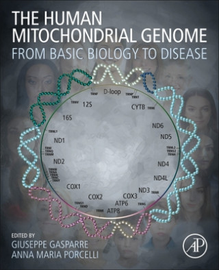 Carte Human Mitochondrial Genome Anna Maria Porcelli