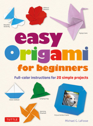 Buch Easy Origami for Beginners 