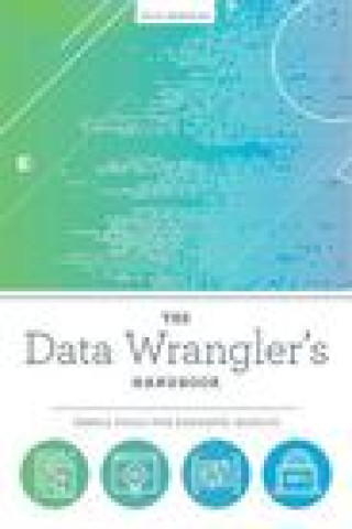Boek Data Wrangler's Handbook Kyle Banerjee