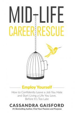 Book Mid-Life Career Rescue 