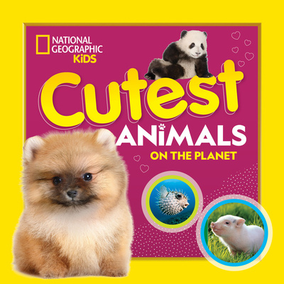 Buch Cutest Animals on the Planet NATIONAL GEOGR KIDS