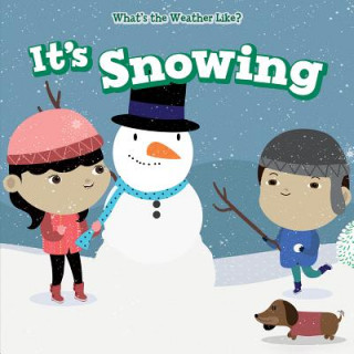 Buch It's Snowing Celeste Bishop