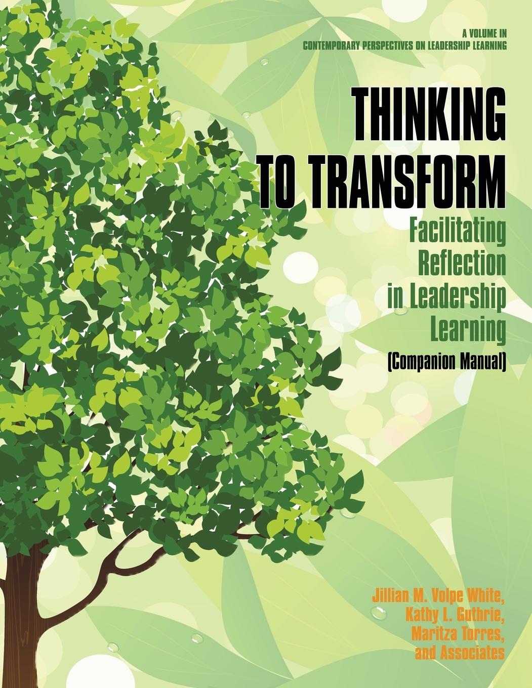 Knjiga Thinking to Transform Jillian M. Volpe Wjite