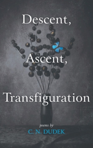 Книга Descent, Ascent, Transfiguration C. N. Dudek