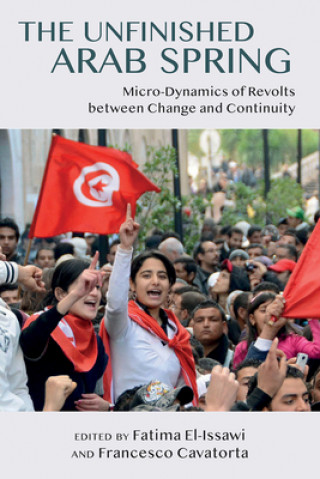 Kniha Unfinished Arab Spring 
