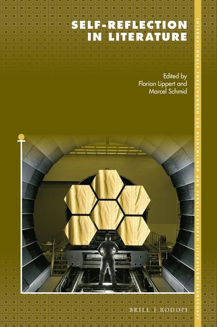 Knjiga Self-Reflection in Literature Florian Lippert