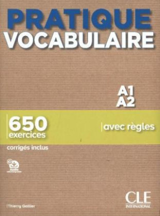 Könyv Pratique vocabulaire - Niveau débutant 