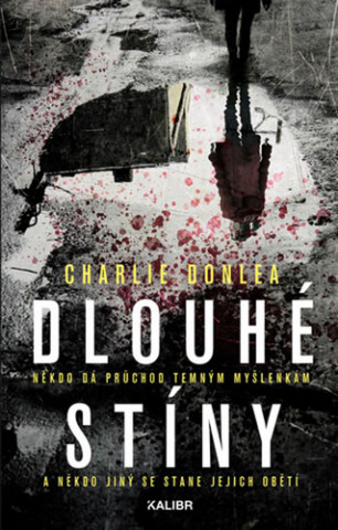 Könyv Dlouhé stíny Charlie Donlea