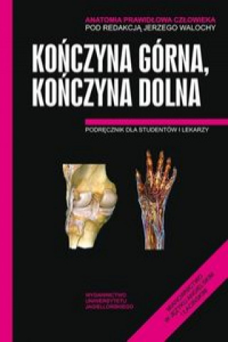 Kniha Anatomia Prawidłowa Człowieka Kończyna górna, Kończyna dolna 