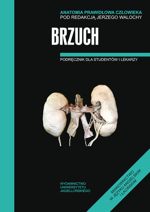 Könyv Anatomia Prawidłowa Człowieka Brzuch 