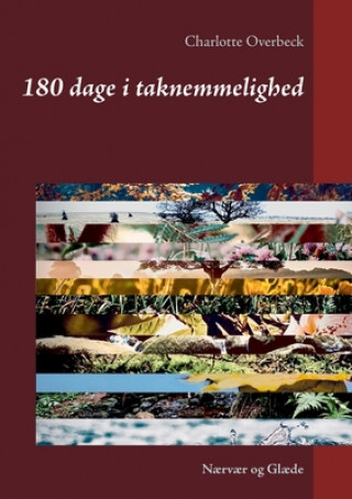 Kniha 180 dage i taknemmelighed 