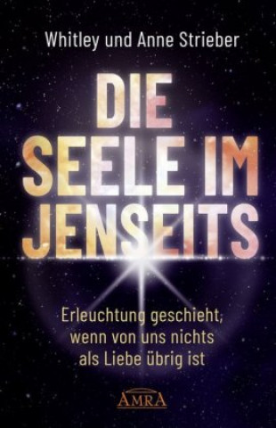 Buch DIE SEELE IM JENSEITS Anne Strieber