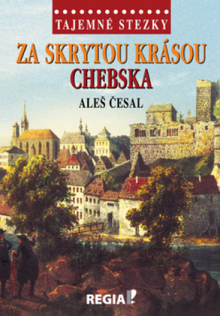 Könyv Za skrytou krásou Chebska Aleš Česal