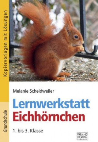 Libro Lernwerkstatt Eichhörnchen Melanie Scheidweiler