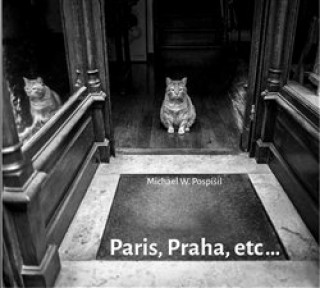 Kniha Paris, Praha, etc... Michael W.  Pospíšil