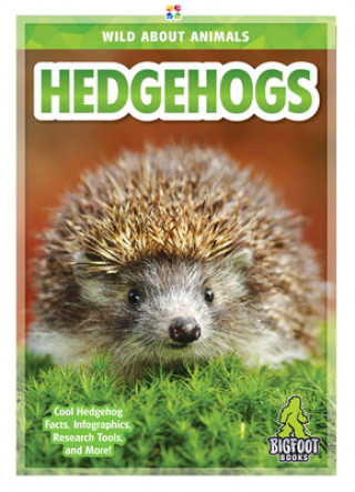 Книга Hedgehogs Emma Huddleston