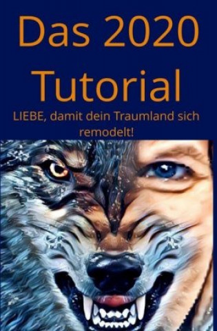 Knjiga Das 2020 Tutorial Quin Shanntal