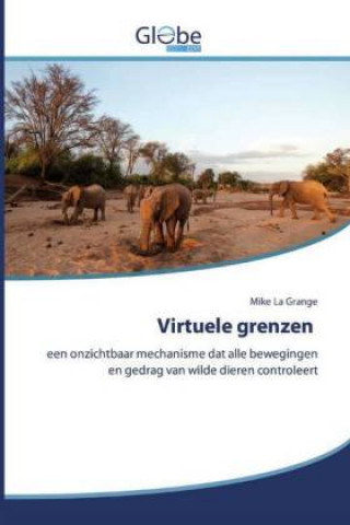 Buch Virtuele grenzen Mike La Grange