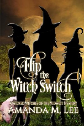 Knjiga Flip the Witch Switch Amanda M Lee