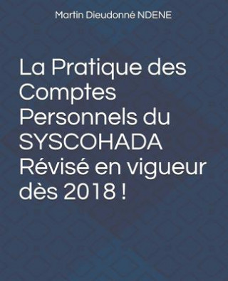 Könyv La Pratique des Comptes Personnels du SYSCOHADA Révisé en vigueur d?s 2018 ! Martin Dieudonne Ndene
