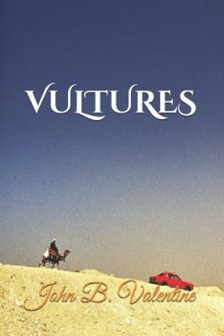 Knjiga Vultures John B Valentine