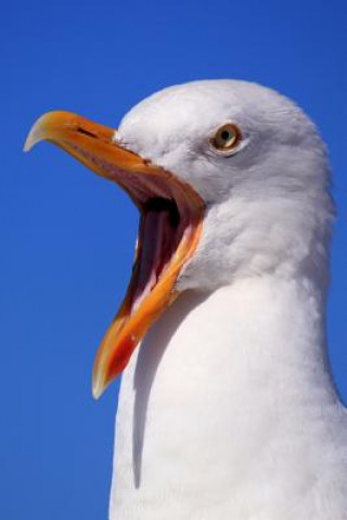 Libro Seagull: Seagulls Learn, Remember and Even Pass on Behaviours, Such as Stamping Their Feet in a Group to Imitate Rainfall and T Planners and Journals