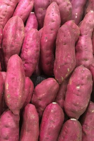 Carte Sweet Potatoes: The Sweet Potato Is a Dicotyledonous Plant That Belongs to the Bindweed or Morning Glory Family, Convolvulaceae. Its L Planners and Journals