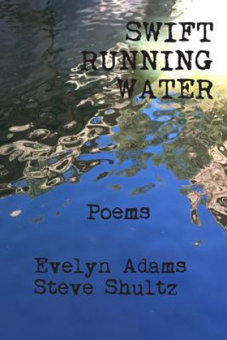 Boek Swift Running Water Steve Shultz