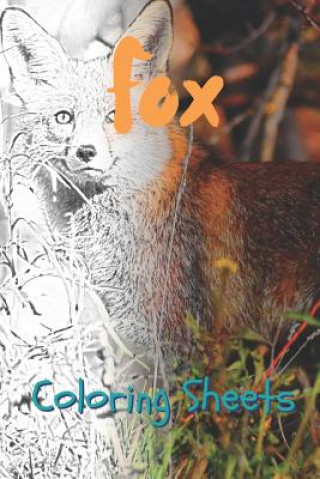 Książka Fox Coloring Sheets: 30 Fox Drawings, Coloring Sheets Adults Relaxation, Coloring Book for Kids, for Girls, Volume 8 Coloring Books