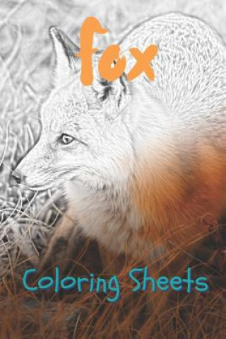 Książka Fox Coloring Sheets: 30 Fox Drawings, Coloring Sheets Adults Relaxation, Coloring Book for Kids, for Girls, Volume 15 Coloring Books