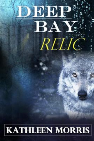 Knjiga Deep Bay Relic - A Christian Mystery Suspense Kathleen Morris