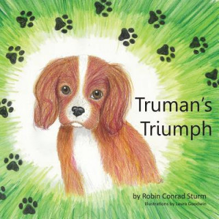 Livre Truman's Triumph Robin Conrad Sturm