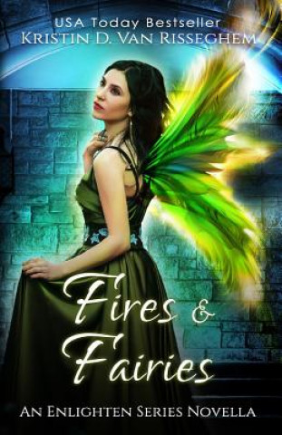 Book Fires & Fairies Kristin D Van Risseghem